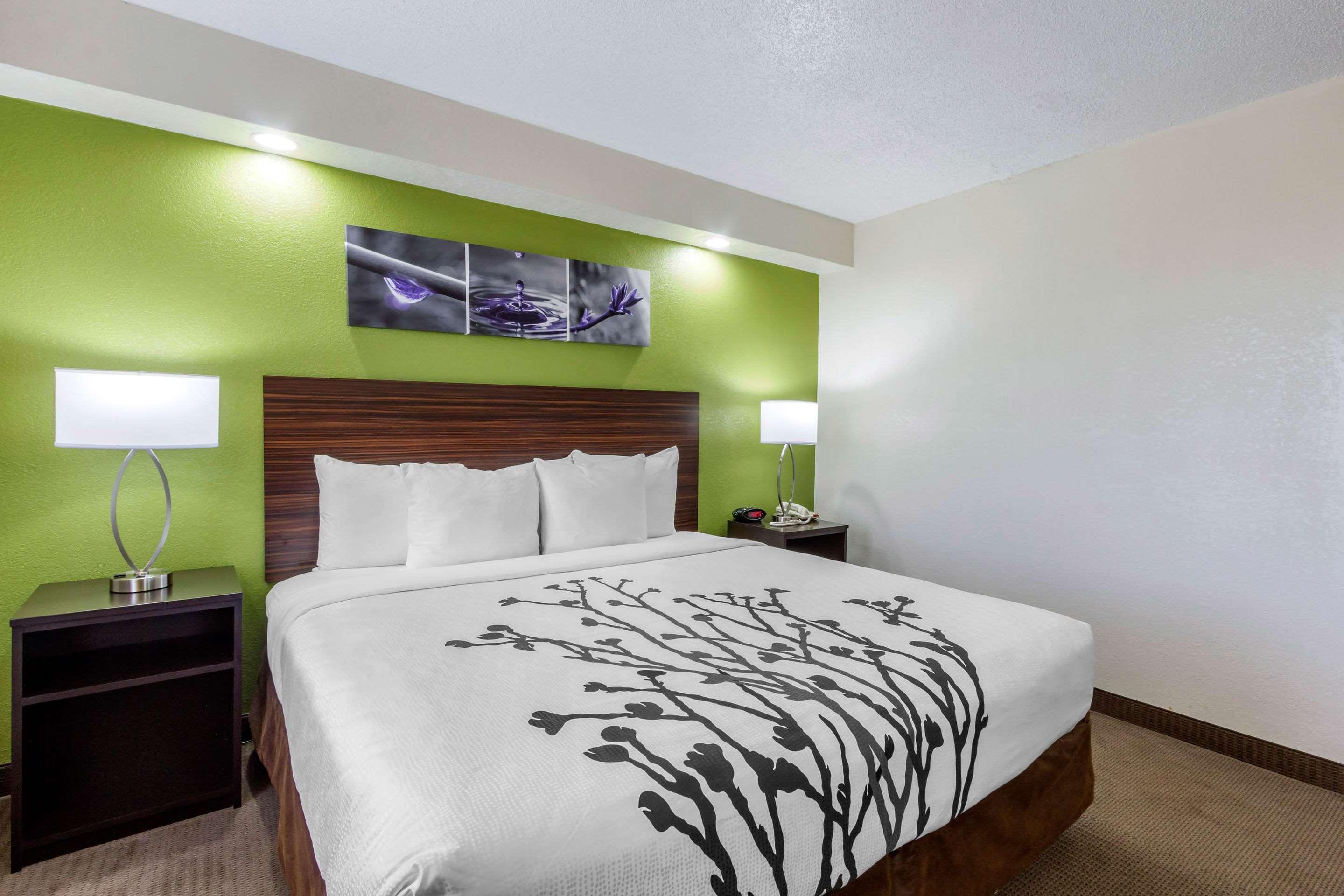 Sleep Inn Near Busch Gardens - Usf Temple Terrace Bagian luar foto