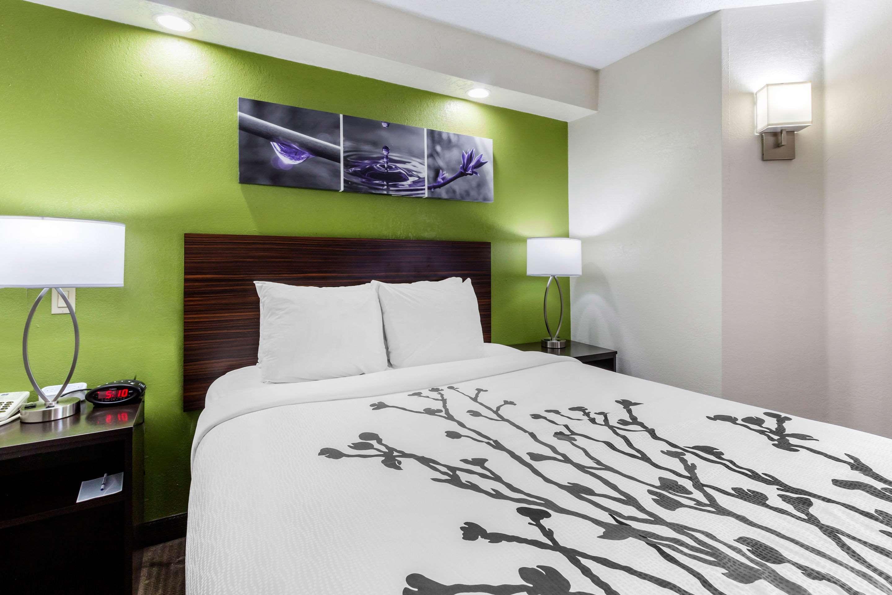 Sleep Inn Near Busch Gardens - Usf Temple Terrace Bagian luar foto
