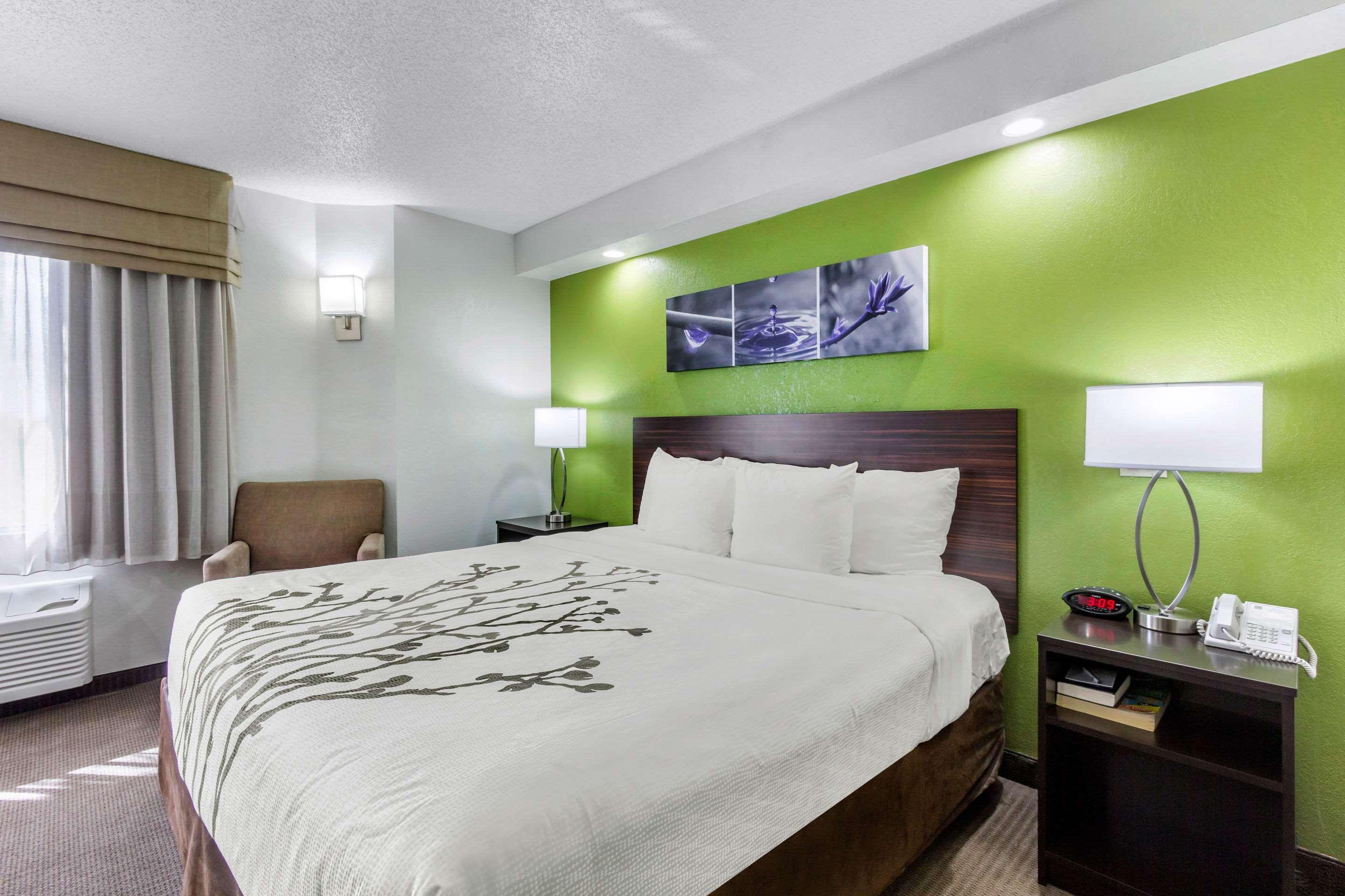 Sleep Inn Near Busch Gardens - Usf Temple Terrace Bagian luar foto